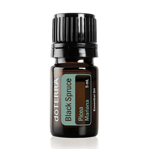 dōTERRA Schwarzfichte (Black Spruce) - 5ml
