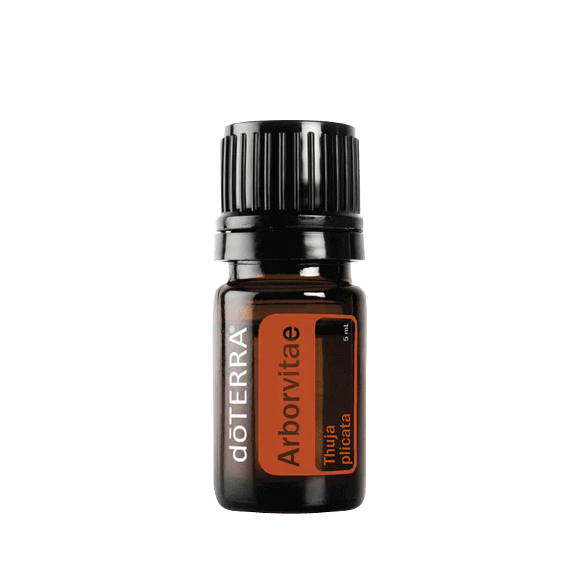 dōTERRA Lebensbaum (Arborvitae) - 5ml