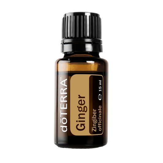 dōTERRA Ingwer (Ginger) - 15ml